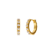 Load image into Gallery viewer, CAMELIA GOLD EARRINGS