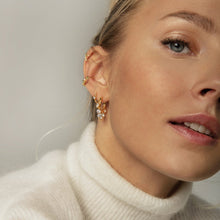 Load image into Gallery viewer, CHAMPAGNE GOLD EARRINGS