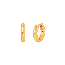 Load image into Gallery viewer, ORLANDO GOLD EARRINGS