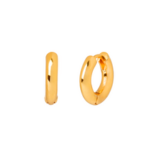 Load image into Gallery viewer, ORLANDO GOLD EARRINGS