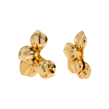 Load image into Gallery viewer, GISELLE GOLD EARRINGS