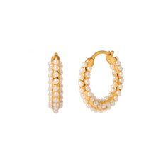 Load image into Gallery viewer, AFRODITA GOLD EARRINGS