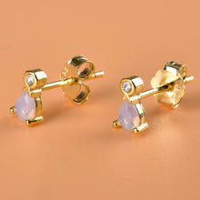 Load image into Gallery viewer, COCONUT GOLD EARRINGS