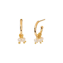 Load image into Gallery viewer, BISOU GOLD EARRINGS