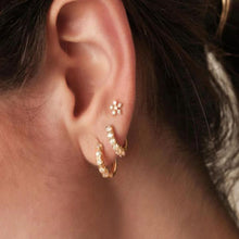 Load image into Gallery viewer, ROMA GOLD EARRINGS