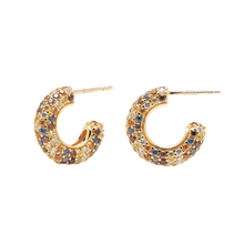 Load image into Gallery viewer, TIGER GOLD EARRINGS