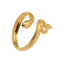 Load image into Gallery viewer, BOA GOLD RING